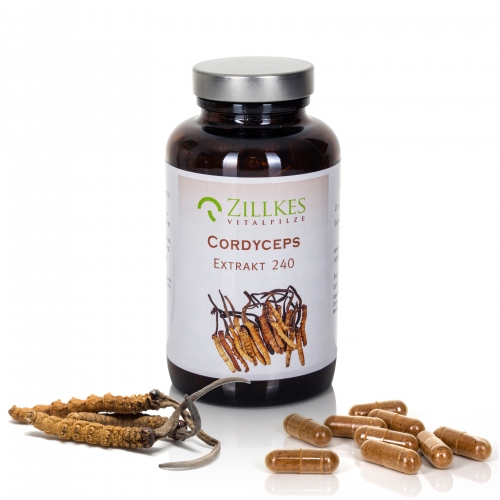 Preview: Cordyceps sinensis Extrakt 90 Kapseln mit Pilzen