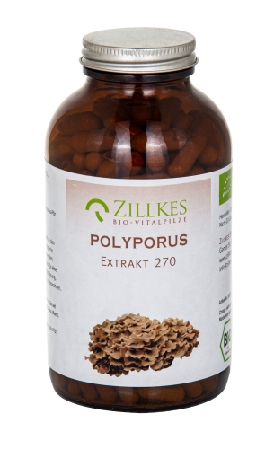 Polyporus-Extrakt aus Bio-Anbau, 270 Kapseln, Zillkes Pilze