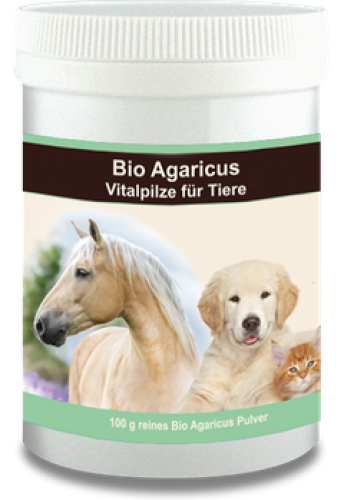 Multinova Pilzpulver 100 g Packungsabbildung