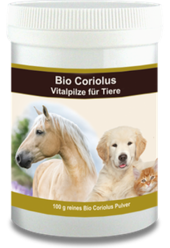 Bio Coriolus Pulver für Tiere, 100 g/ 140 Kapseln