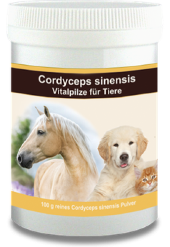 Cordyceps sineinsis bio Pulver für Tiere und Hunde