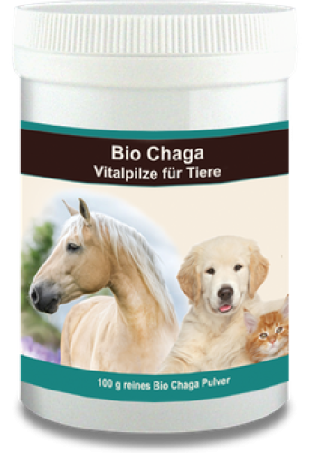 Chaga Pulver für Tiere