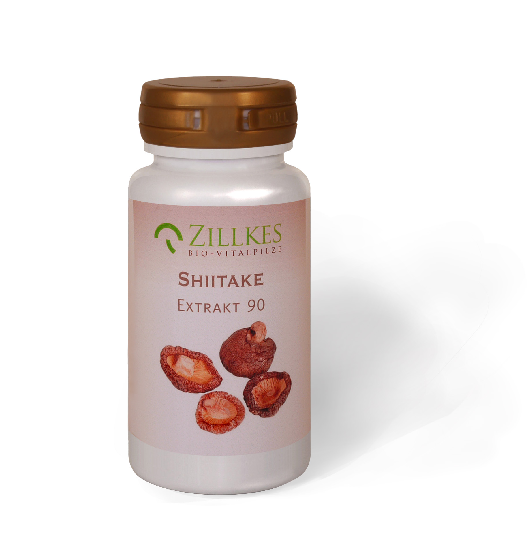 Heilpilze und Vitalpilze bio kaufen und bestellen Shiitake Extrakt