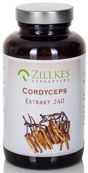 Cordyceps sinensis Extrakt 240 Kapseln