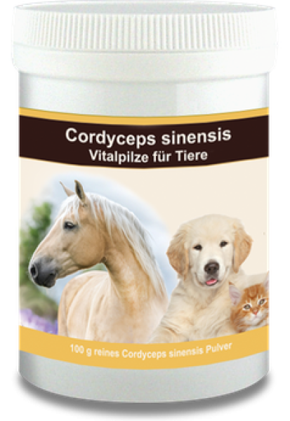 Cordyceps sineinsis bio Pulver für Tiere und Hunde