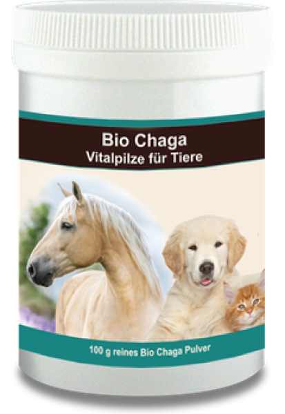 Chaga Pulver für Tiere